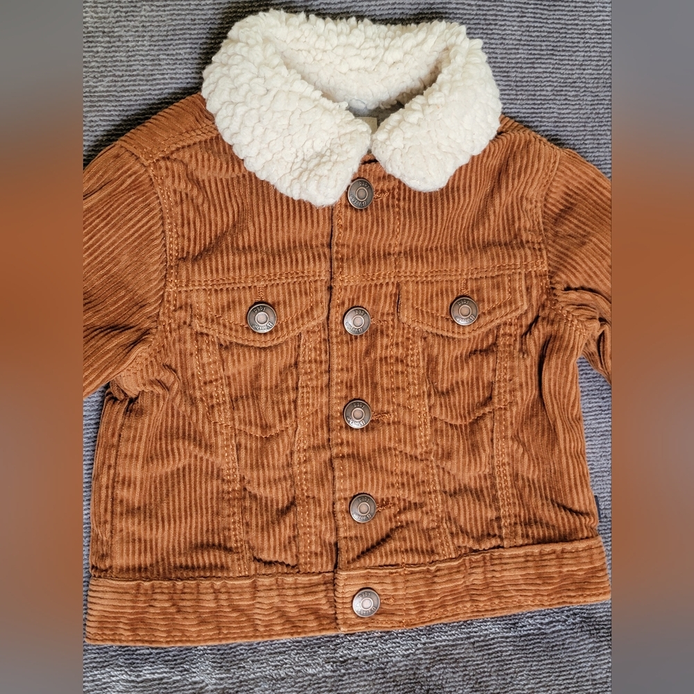 Infant's 6 Month Corduroy Jacket with Sherpa Collar NICE Zero Flaws